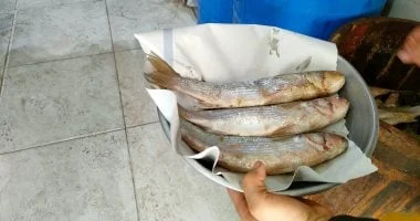 دليل شراء واستهلاك الفسيخ بأمان في شم النسيم