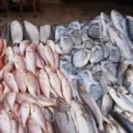 استقرار أسعار المأكولات البحرية خلال شم النسيم