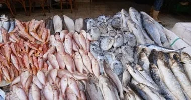 استقرار أسعار المأكولات البحرية خلال شم النسيم