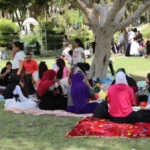 إقبال كبير على حدائق الإسكندرية في شم النسيم