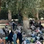 إقبال جماهيري على حديقة فريال في شم النسيم بأسوان