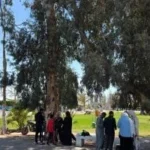 إقبال كبير على حديقة الغابة بالإسماعيلية في شم النسيم