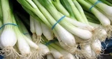 أهمية الخضروات والمشروبات خلال شم النسيم