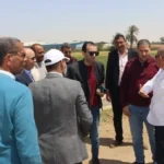 أنشطة بحوث زراعية في بني سويف لتحسين الإنتاج