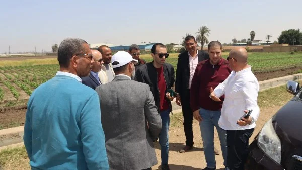 أنشطة بحوث زراعية في بني سويف لتحسين الإنتاج