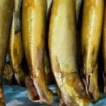 رقابة مشددة على أسواق الرنجة والأسماك المملحة في شم النسيم