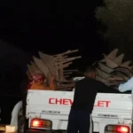 جهود أسوان لإزالة الإشغالات وتعزيز الانضباط