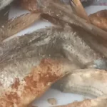 حملات رقابية مكثفة لتموين قنا خلال شم النسيم