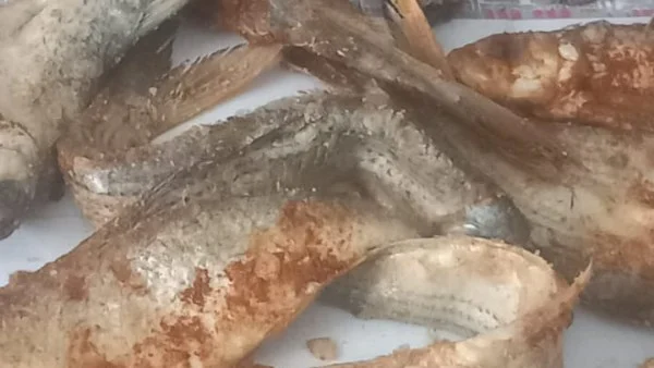 حملات رقابية مكثفة لتموين قنا خلال شم النسيم