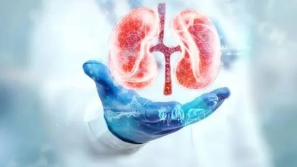 الوقاية من حصوات الكلى: نصائح فعالة