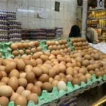 استقرار أسعار البيض في مصر خلال شم النسيم