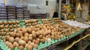 استقرار أسعار البيض في مصر خلال شم النسيم