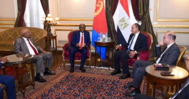 مصر وإريتريا: تعزيز التعاون الاقتصادي والاستثماري
