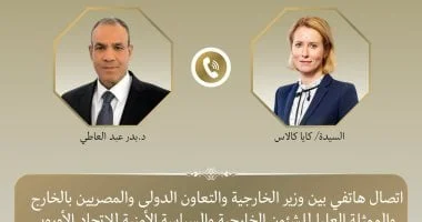 وزير الخارجية المصري يناقش خفض التصعيد مع الاتحاد الأوروبي