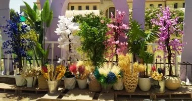 وزير الزراعة يفتتح معرض زهور الربيع الخميس المقبل