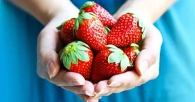 الفراولة تعزز صادرات مصر الزراعية لـ4.3 مليار دولار