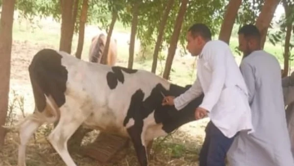 أحداث متنوعة في محافظة قنا