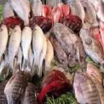 تعرف على مواصفات السمك الطازج قبل الشراء