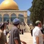 الأزهر يدين اقتحام وزير الأمن الصهيوني للمسجد الأقصى