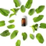 ودّعي الحشرات نهائيًا: طرق تنظيف المنزل بفعالية