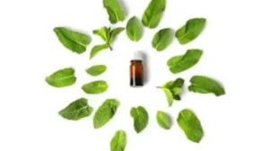 ودّعي الحشرات نهائيًا: طرق تنظيف المنزل بفعالية