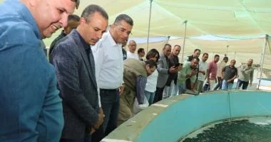 مشروع وادى حوضيم في شلاتين: نموذج للتنمية المستدامة