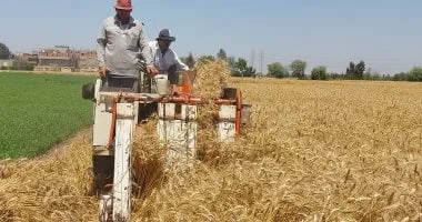 وزير التموين: استهداف استلام 5 ملايين طن من القمح المحلي