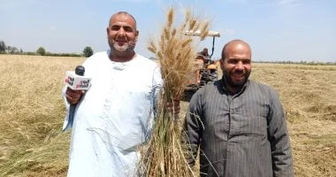 بدء توريد القمح المحلي حتى 15 أغسطس 2026