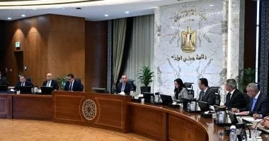 الحكومة تطلق شريحة الطفل لحماية النشء على الإنترنت