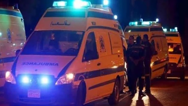 إصابة طفلة إثر سقوط عربة كارو بالدقهلية