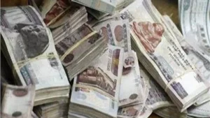 حبس شخص بتهمة النصب في الجيزة