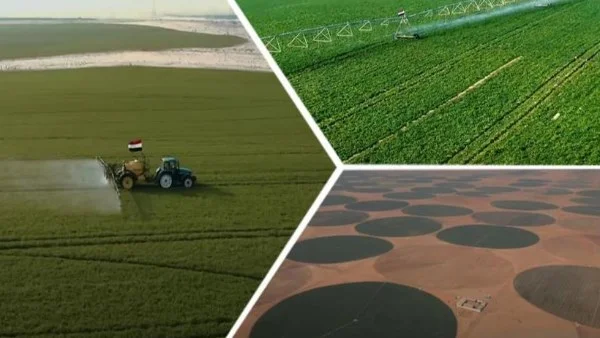 الدلتا الجديدة.. رهان مصر على الأمن الغذائي