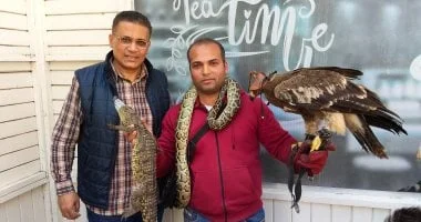 حكاية محمد المصري مع الزواحف والطيور الجارحة