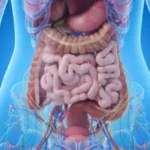 خطوات لتحسين صحة الأمعاء والهضم