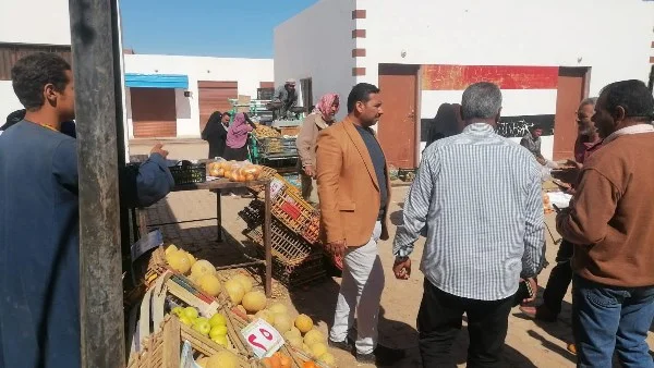 20 مخالفة تموينية في الوادي الجديد