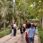 إقبال كبير على حديقة أسوان وتعزيز لقطاع القمح