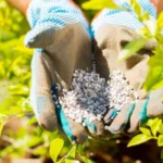 أسعار الأسمدة الزراعية في مصر اليوم