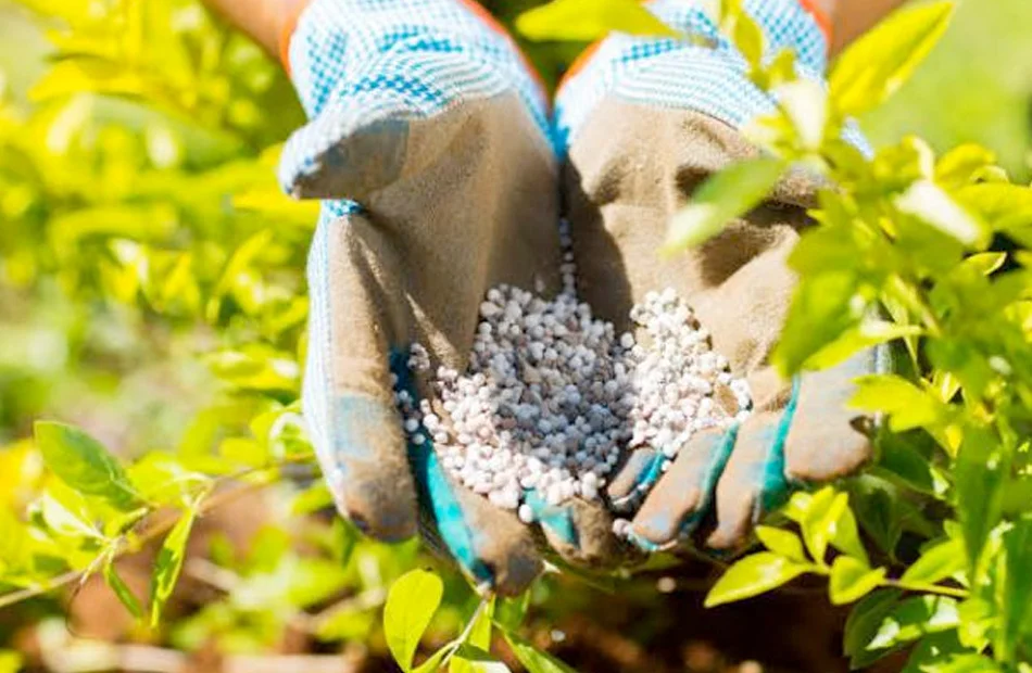 أسعار الأسمدة الزراعية في مصر اليوم