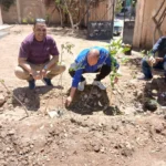 زراعة 8635 شتلة ضمن المبادرة الرئاسية في قنا