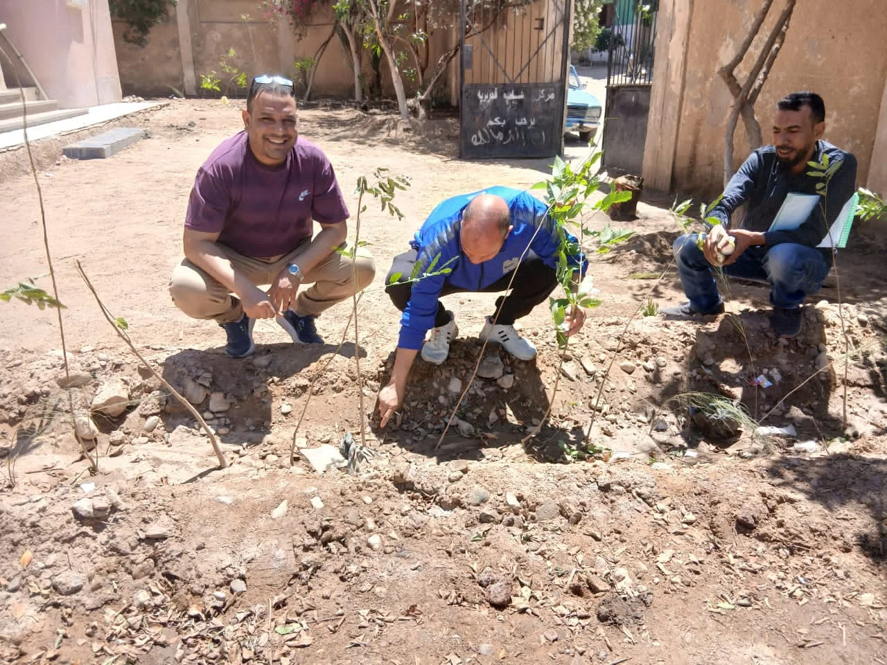 زراعة 8635 شتلة ضمن المبادرة الرئاسية في قنا