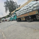 انطلاق موسم توريد القمح بالأقصر 2026