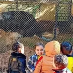 احتفالات شم النسيم في حديقة الحيوان بالفيوم