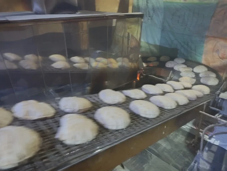 ضبط صاحب مخبز يتصرف في 20 طن دقيق مدعم بالحامول