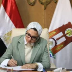 إيمان صبر مساعدًا لمحافظ الوادي الجديد للشئون الهندسية