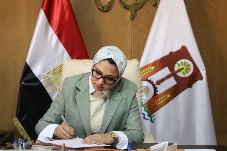 إيمان صبر مساعدًا لمحافظ الوادي الجديد للشئون الهندسية