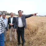 متابعة حصاد القمح في مدرسة سوهاج الزراعية