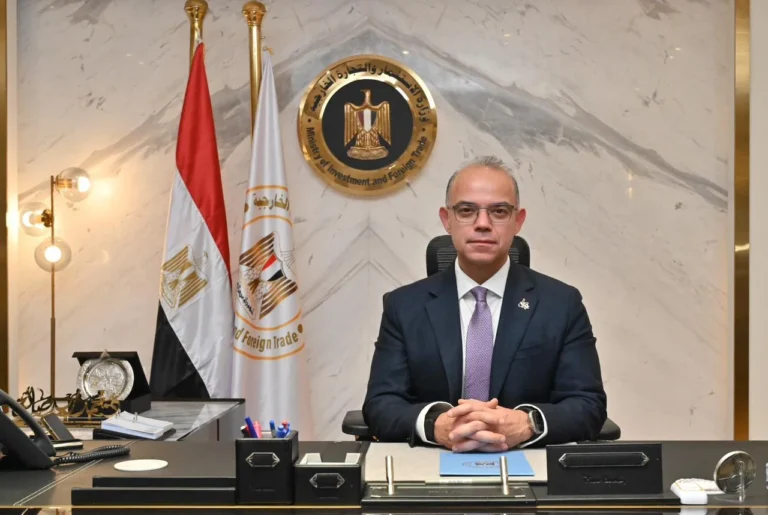 استراتيجية لسد الفجوة التمويلية في مصر