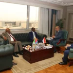 تعزيز التعاون بين مصر وإريتريا في مجال الطاقة