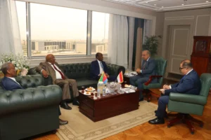 تعزيز التعاون بين مصر وإريتريا في مجال الطاقة