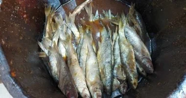 رقابة صارمة على الأسواق في الفيوم قبل شم النسيم